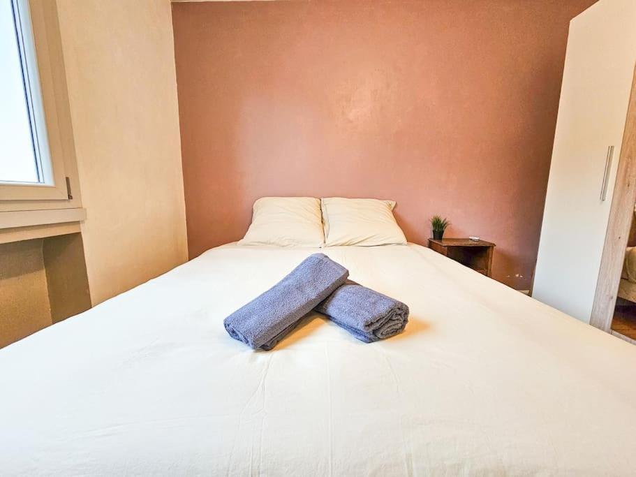 Le Bergson 3 Chambres Stationnement Gratuit Saint-Etienne  Zewnętrze zdjęcie